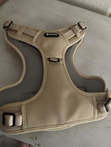 Brian P. review photo