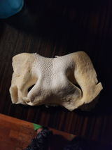 G.B. review photo
