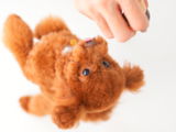 匿名 review photo