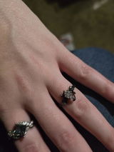 Darrell Hypes review photo