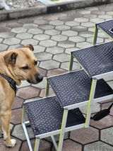 Foto recensione di Luca