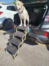Foto recensione di Marco