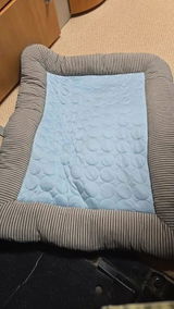 Jacopo review photo