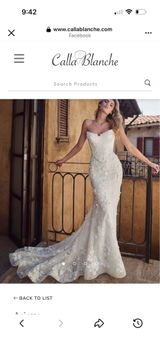 Nicoletta Zorzi review photo