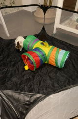 Paolo Martini review photo