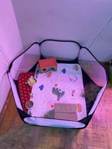 Chiara Barbieri review photo