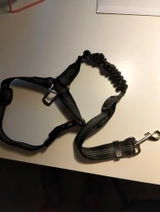 Pietro R. review photo