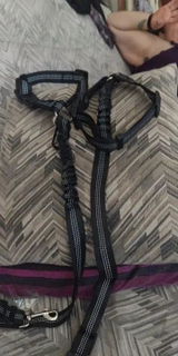Antonio O. review photo