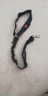 Alessandro L. review photo