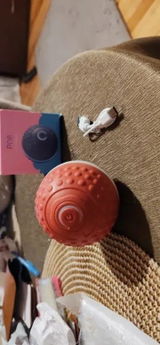 Paolo Bianchi review photo