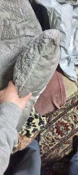 Alessandro review photo