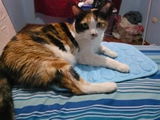 Chiara F. review photo
