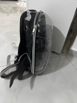 Zara review photo