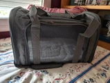 Francesco Orsini review photo
