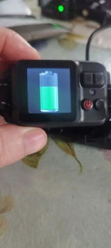 Paolo Piemonte review photo