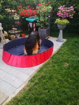 Federica De Luca review photo