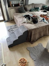 Alessandro Neri review photo