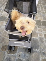 Foto recensione di Laura Bianchi
