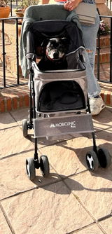 Marco Bianchi review photo