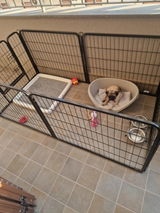 Foto recensione di Giulia Conti