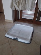 Foto recensione di Alessandro Neri
