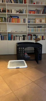 Foto recensione di Giulia Verdi