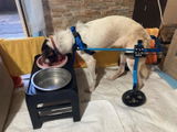 Foto recensione di Giulia Verdi