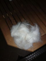 Francesca Neri review photo