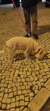 Foto recensione di Giulia Verdi