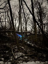 Foto recensione di Laura Bianchi