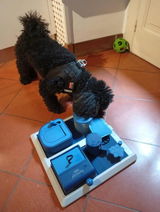 Foto recensione di Laura Bianchi