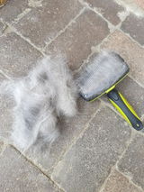 Foto recensione di Cliente