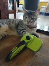 Cliente review photo
