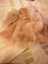 Cliente review photo