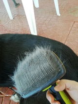 Cliente review photo