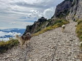 Foto recensione di Marco
