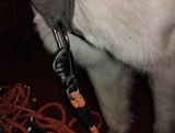 Luca review photo