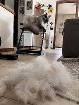 Foto recensione di Giuseppe Romano