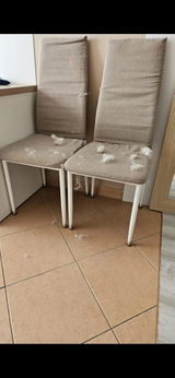 Francesca Neri review photo