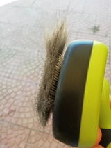 Cliente review photo