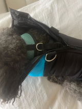 Anna review photo