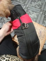 Chiara review photo