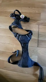 Luca Neri review photo