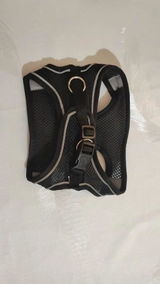 Elena G. review photo
