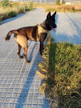 Foto recensione di Marco