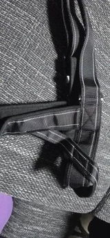 Andrea review photo