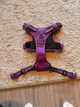 Kira review photo