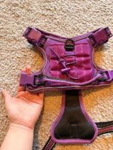 Kira review photo