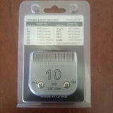 Carlo review photo