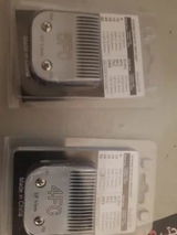 Giuseppe review photo